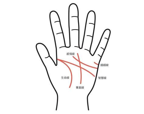 生命線有兩條|手相怎麼看？感情線、智慧線、生命線在哪裡？長度、走向入門解。